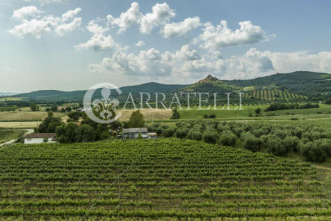 Azienda agricola vit