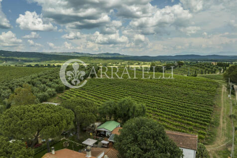 Azienda agricola vit