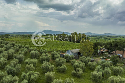 Azienda agricola vit