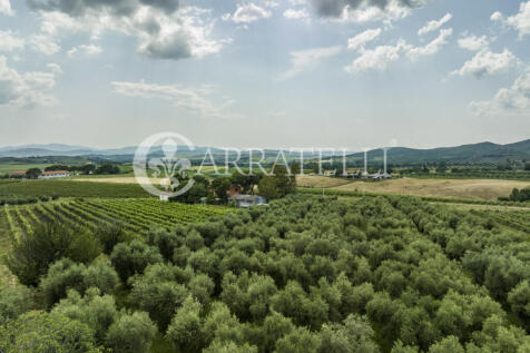 Azienda agricola vit