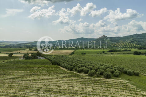 Azienda agricola vit