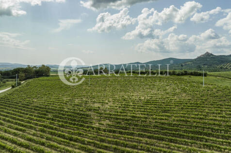 Azienda agricola vit