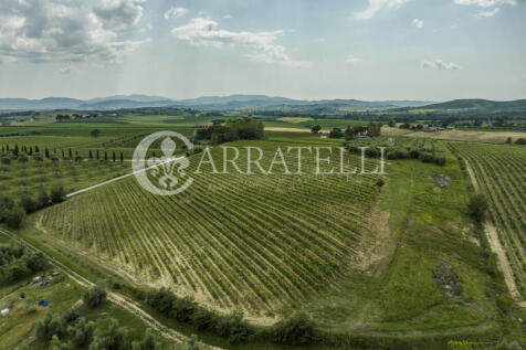 Azienda agricola vit