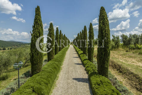 Incantevole tenuta t