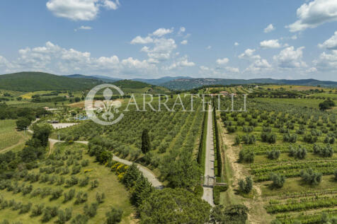 Incantevole tenuta t