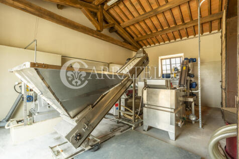 Incantevole tenuta t