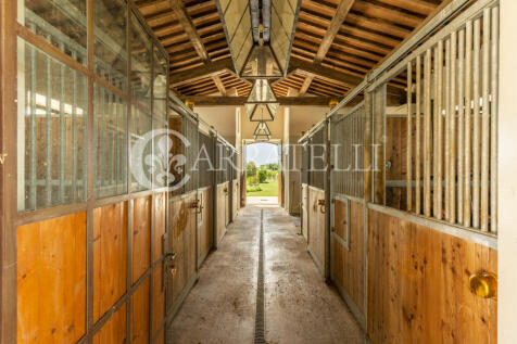Incantevole tenuta t