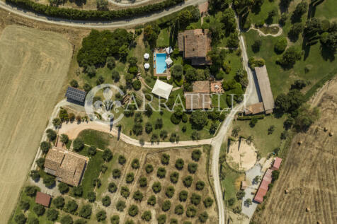 Azienda vitivinicola