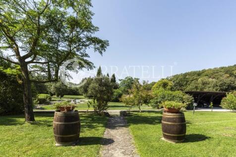 Azienda vitivinicola