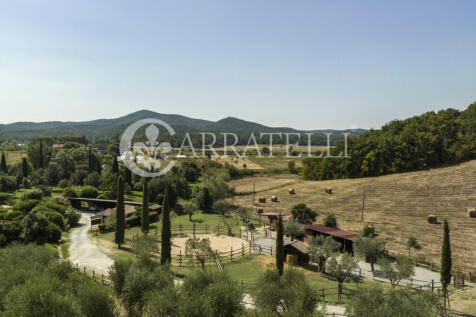 4-Azienda vitivinico
