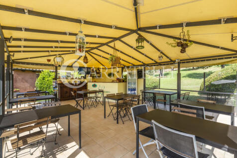 9-Azienda vitivinico
