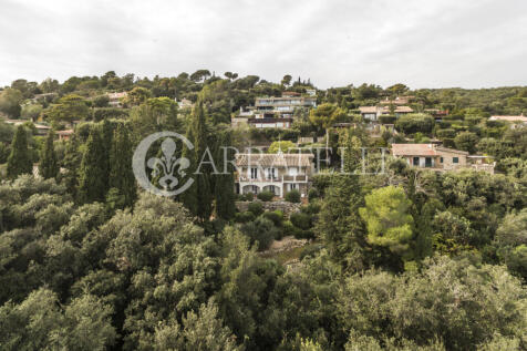 Ansedonia meraviglio