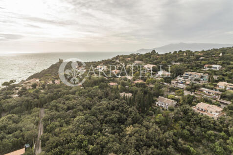 Ansedonia meraviglio