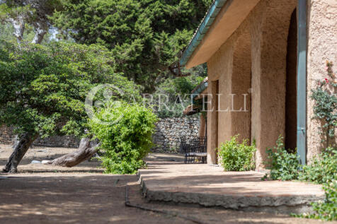 Giannutri Villa con 
