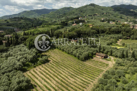 Villa signorile con 