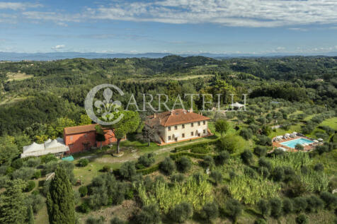 Palaia Agriturismo p