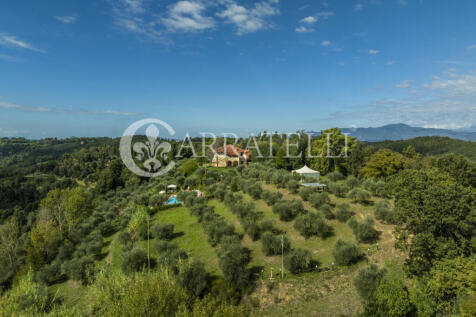 Palaia Agriturismo p