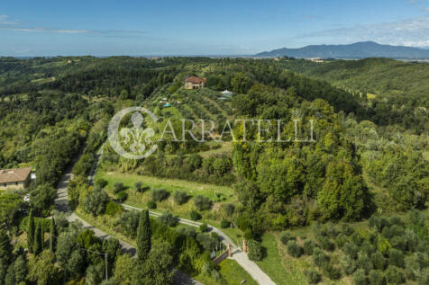 Palaia Agriturismo p