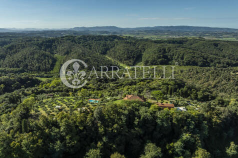 Palaia Agriturismo p