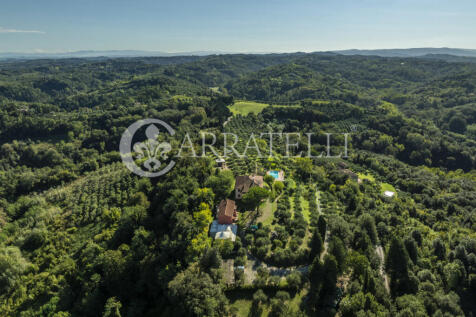 Palaia Agriturismo p