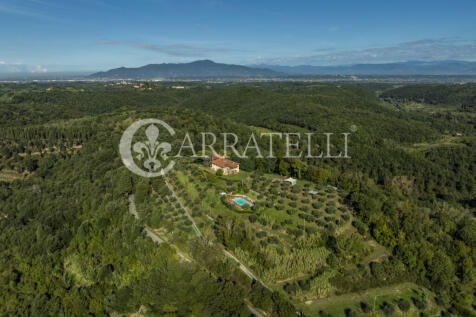 Palaia Agriturismo p