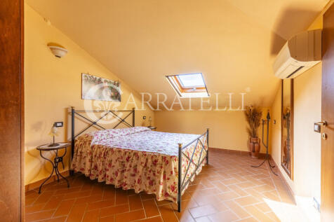 Palaia Agriturismo p