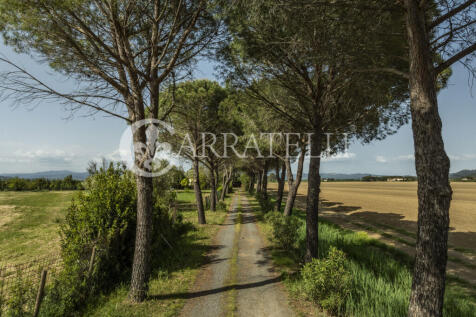 Grosseto Podere 3 ci