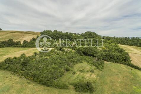Rudere panoramico in