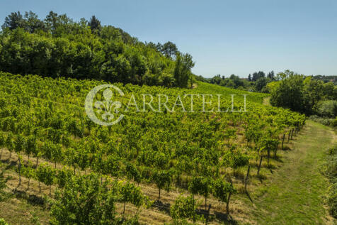 Azienda vitivinicola