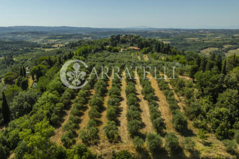 Azienda vitivinicola