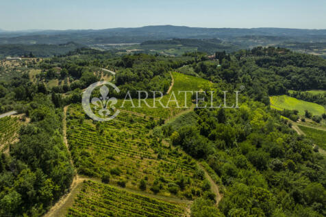 Azienda vitivinicola