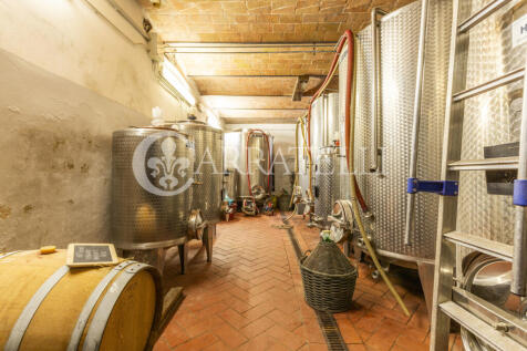 Azienda vitivinicola