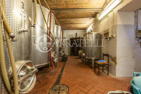 Azienda vitivinicola