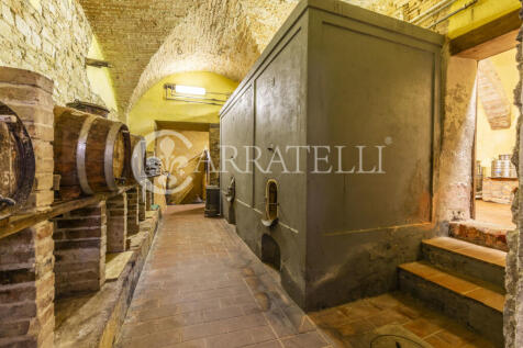 Azienda vitivinicola