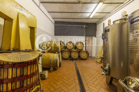 Azienda vitivinicola