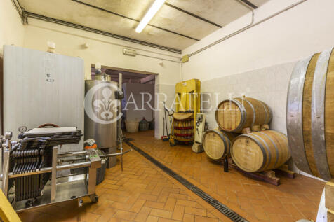 Azienda vitivinicola