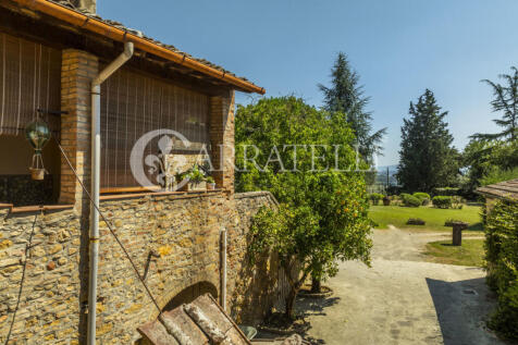 Azienda vitivinicola