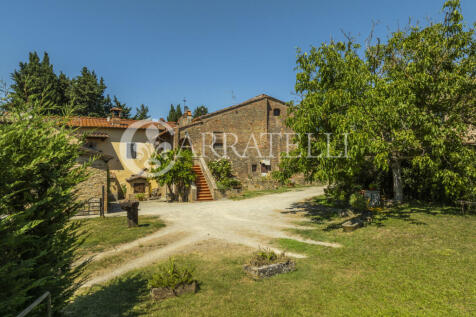 Azienda vitivinicola