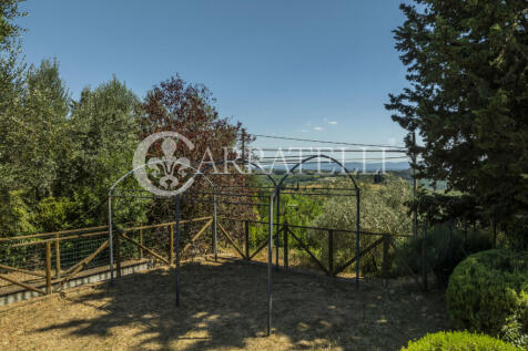 Azienda vitivinicola