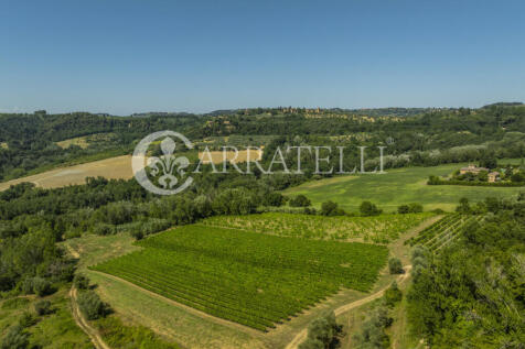 Azienda vitivinicola
