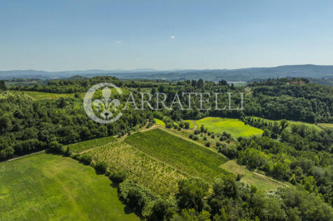 Azienda vitivinicola