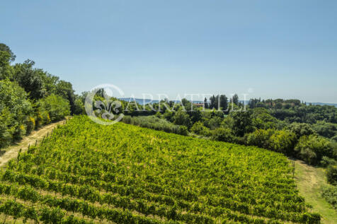 Azienda vitivinicola