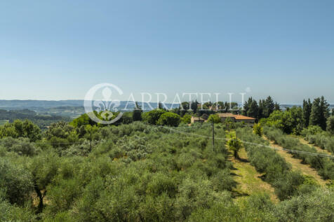 Azienda vitivinicola