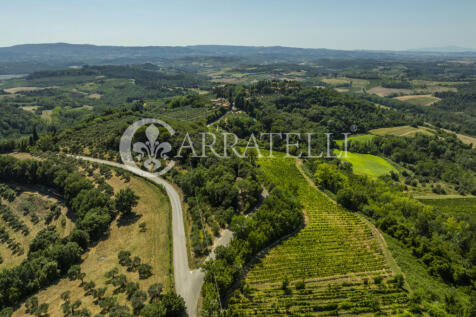 Azienda vitivinicola
