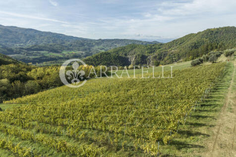 Pregiata azienda vit
