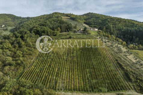 Pregiata azienda vit