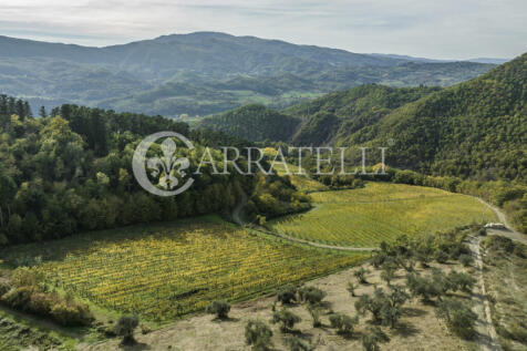 Pregiata azienda vit