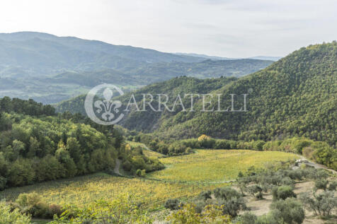 Pregiata azienda vit