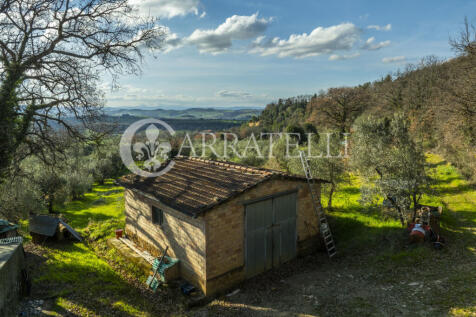 Terreno agricolo con