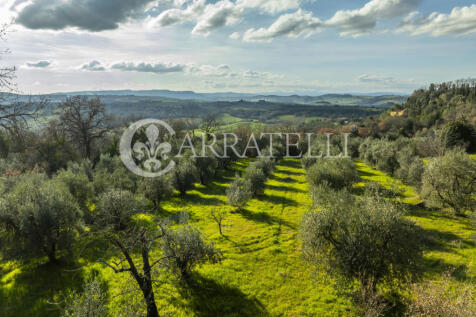 Terreno agricolo con